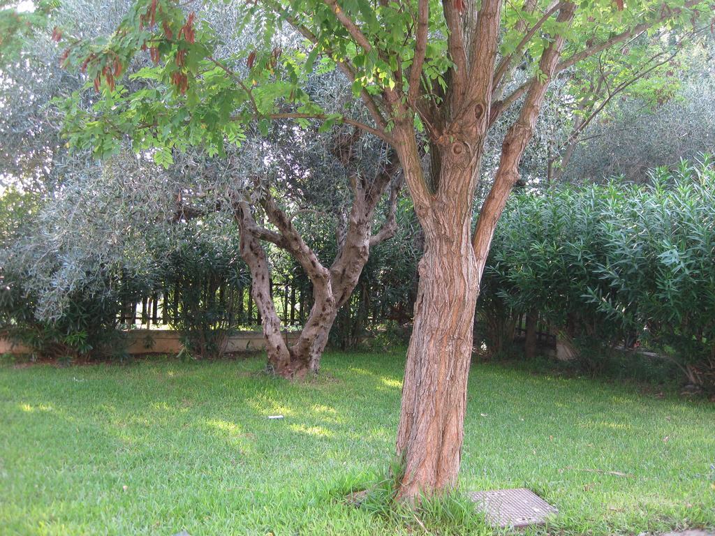 Caputaquis Bed & Breakfast Capaccio Exterior foto